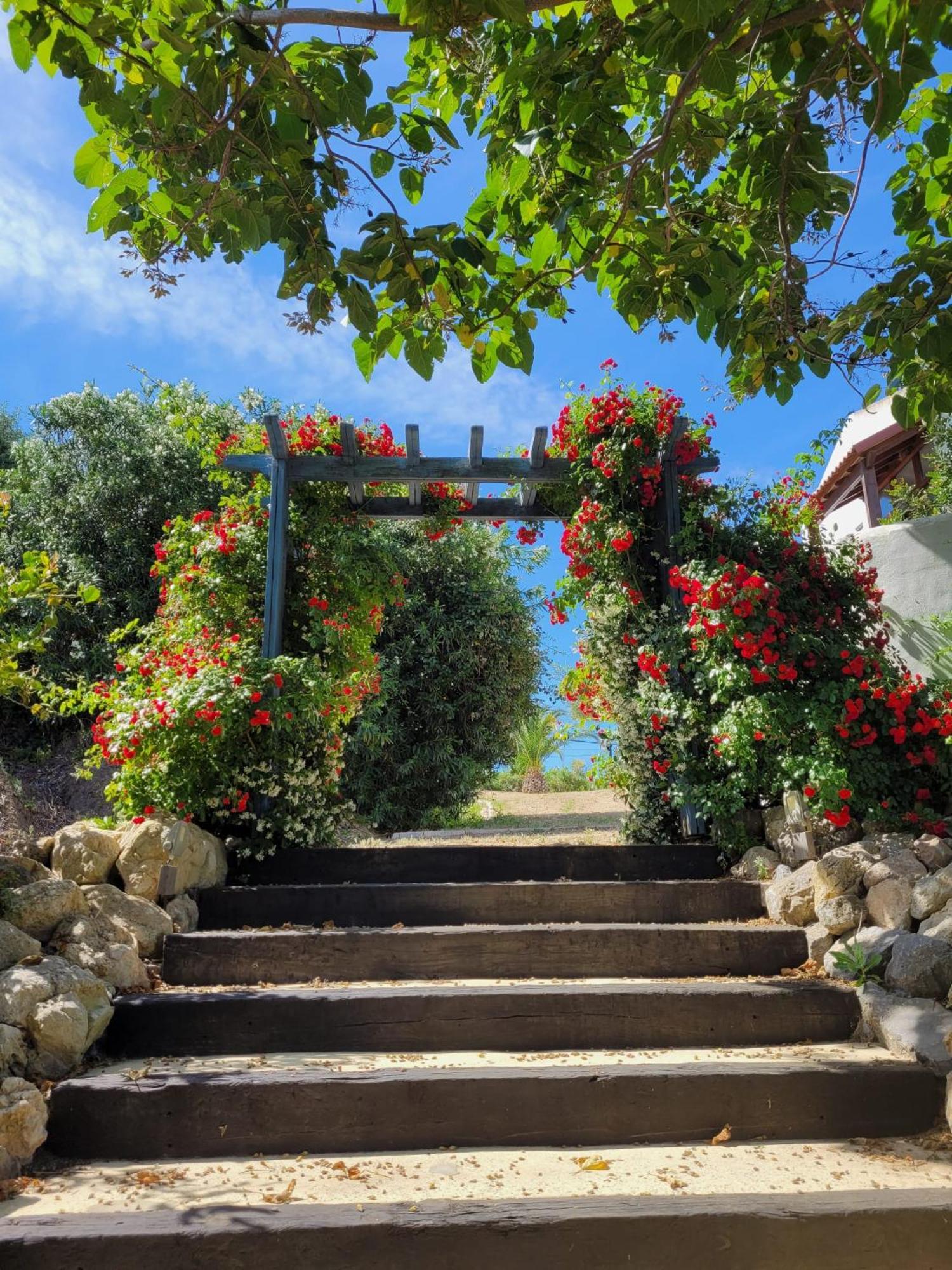 Hotel Sindhura Vejer de la Frontera Exterior photo